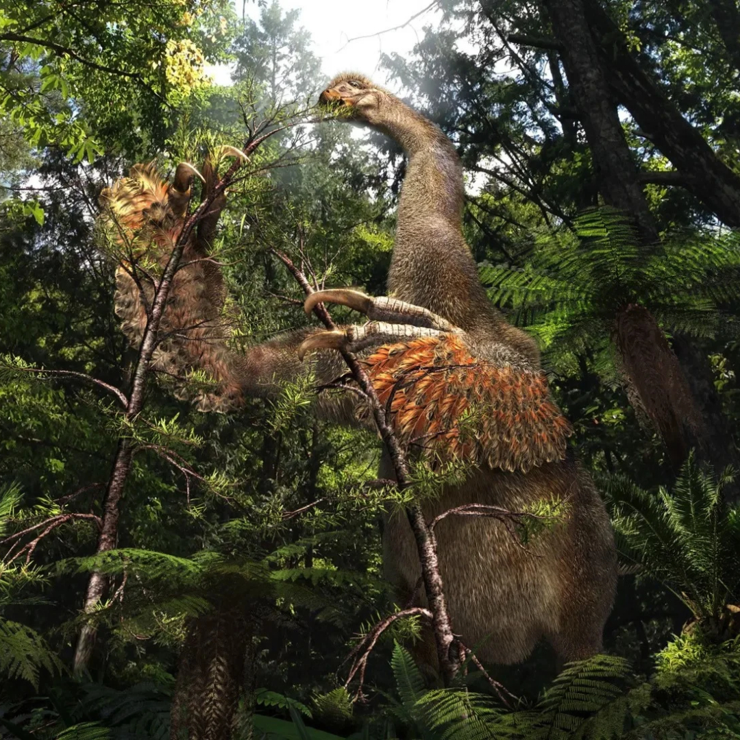 Two feathered dinosaurs forage among dense prehistoric vegetation, illustrating the dinosaur species that once inhabited Mongolia’s Gobi region.