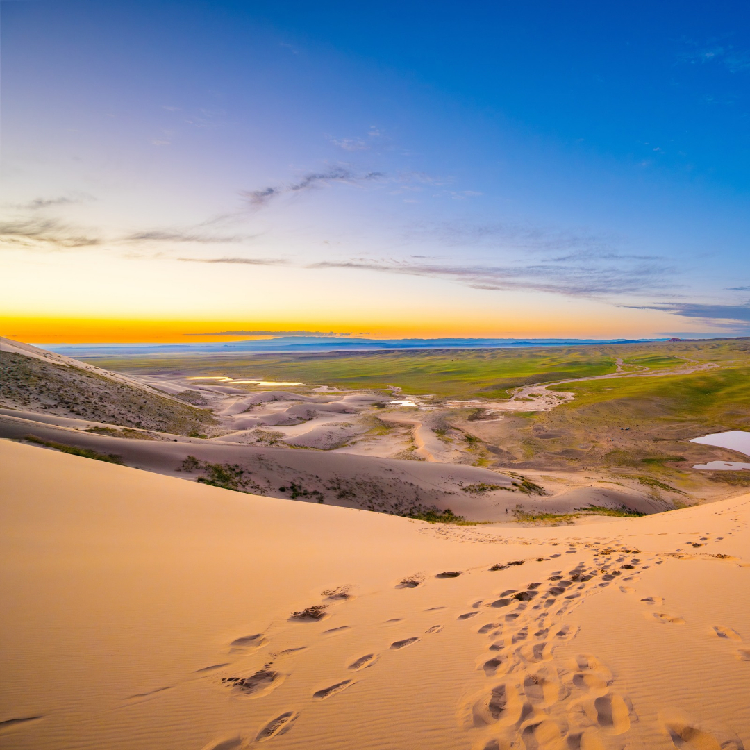 Footprints trail down the golden sand dunes of Khongoryn Els in Mongolia’s Gobi Desert, overlooking vast green plains beneath a colorful sunset sky.