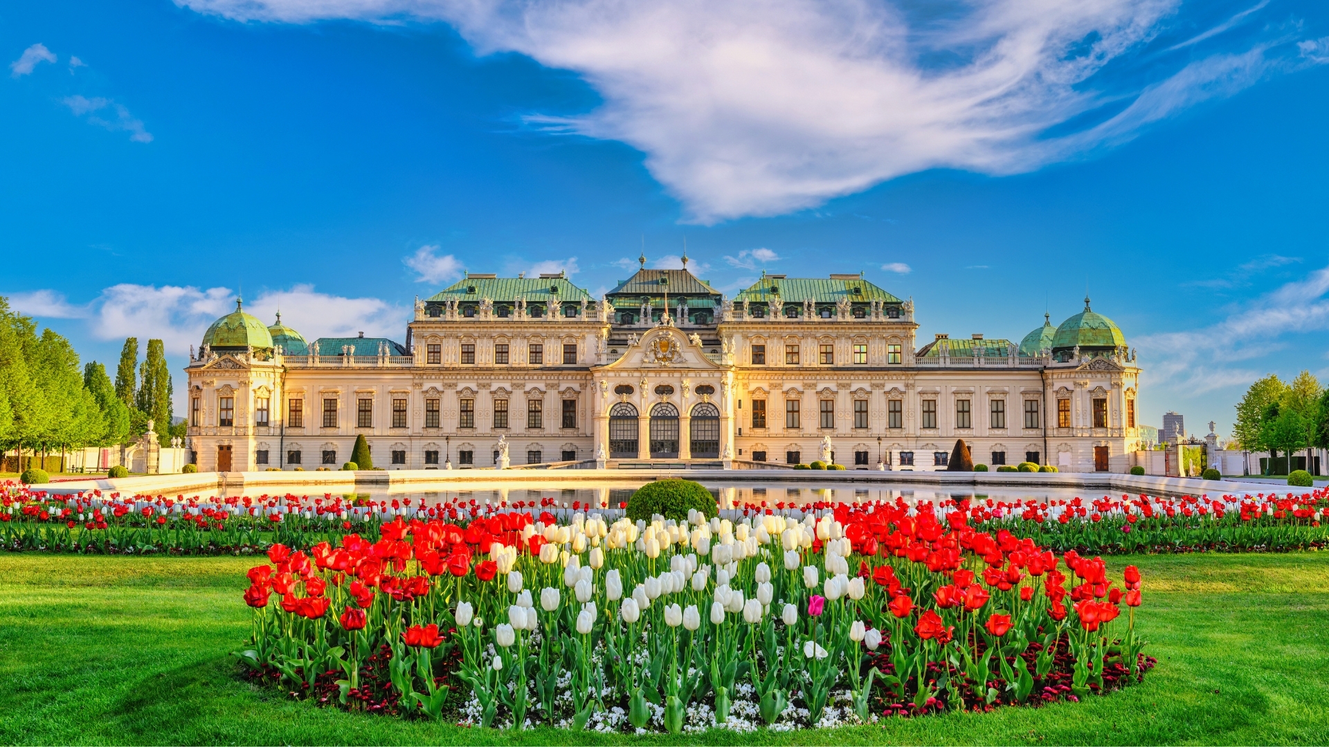 The image showcases the stunning Belvedere Palace in Vienna, Austria, surrounded by vibrant tulip flowers in red, white, and pink, set against a clear blue sky.