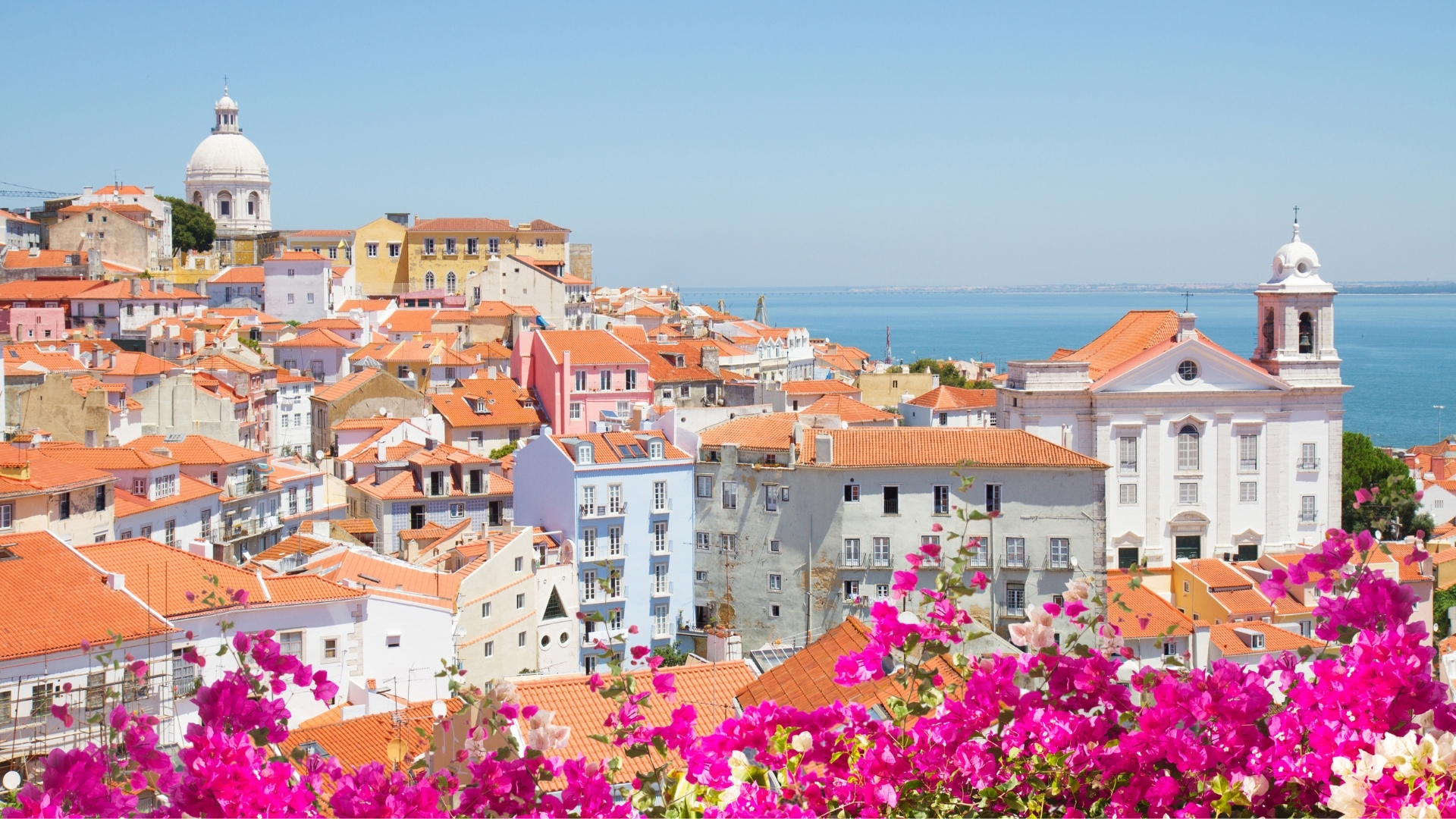 The image depicts a vibrant view of Alfama, a historic district in Lisbon, Portugal, showcasing colorful buildings with red rooftops, blooming pink bougainvillea in the foreground, and a glimpse of the ocean in the background.
